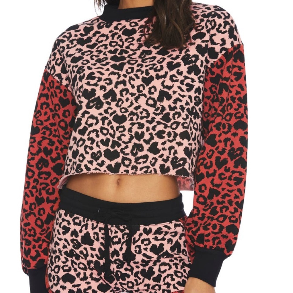 COPY - Beach Riot Ava Leopard Print Crop Sweater